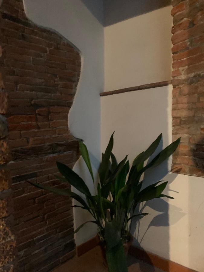 Appartamento Incantevole - Affitti Brevi Italia Лукка Экстерьер фото